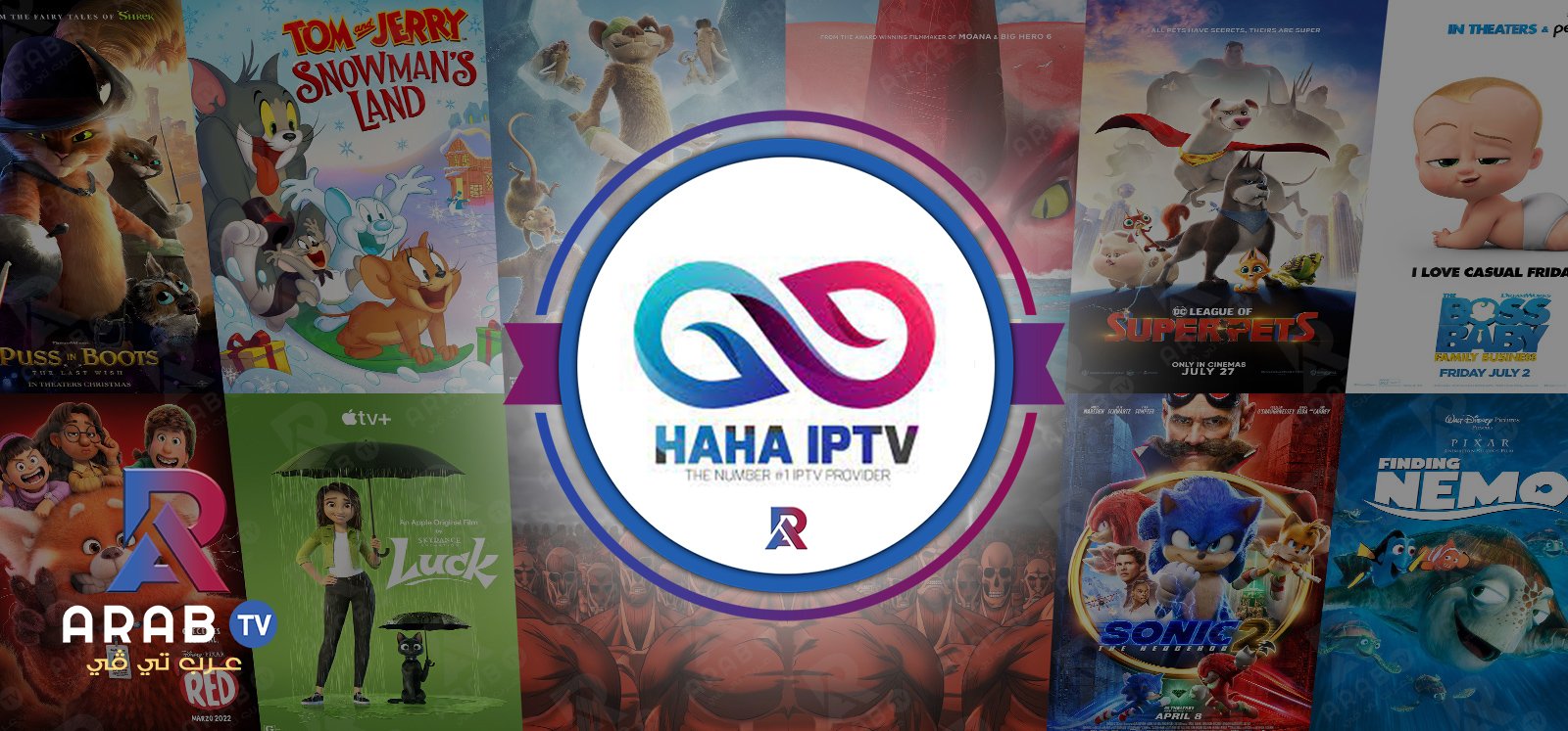 اشتراك هاها تعرف على طريقة التفعيل والدفع