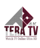 اشتراك تيرا TERA 4K لمدة سنة + 3 اشهر مجانا